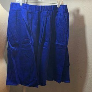 Taydey Women's Royal Blue A-Line Pleated Side Zip, Button Midi Skirt XL NWT